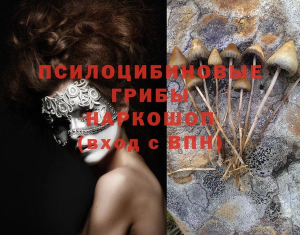 гашик Арсеньев