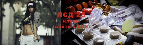 индика Армянск