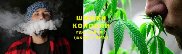гашик Арсеньев