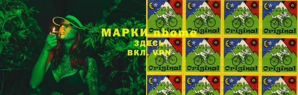 индика Армянск